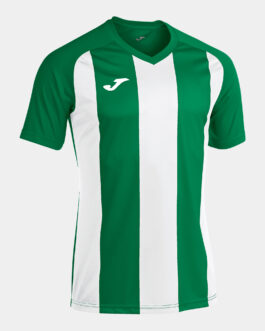 MAGLIA PISA II manica corta – verde/bianco