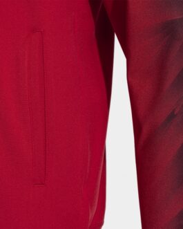 ELITE XI felpa con cappuccio – rosso/bianco
